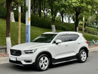 Volvo XC40 2020 (79300 км)