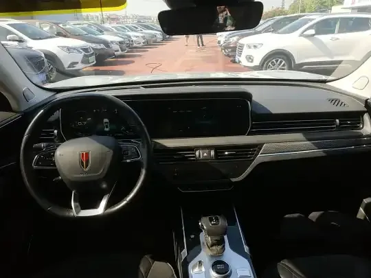 Hongqi HS5 2019 (51400 км)