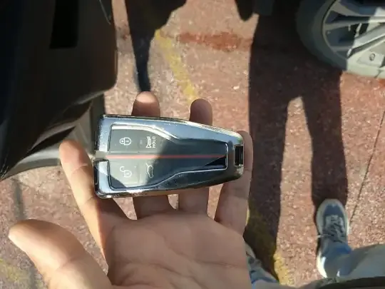 Hongqi HS5 2019 (51400 км)