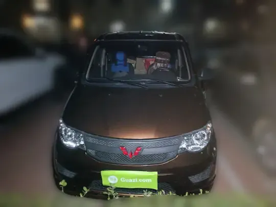 Wuling Hongguang 2019 (22000 км)