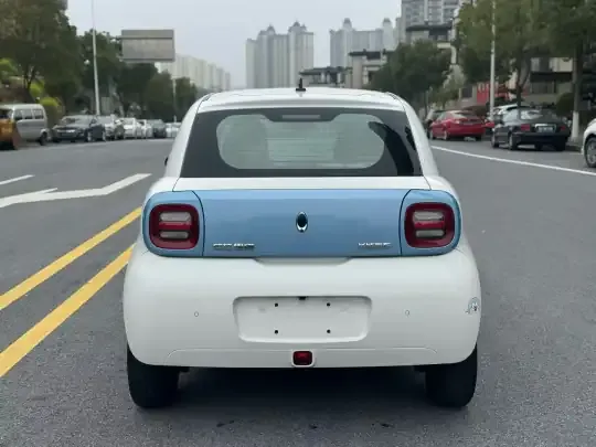 ORA Black Cat 2019 (29900 км)