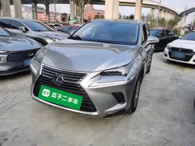 Lexus NX 2020 (73700 км)