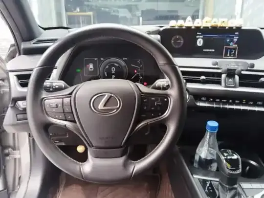 Lexus UX 2020 (46000 км)