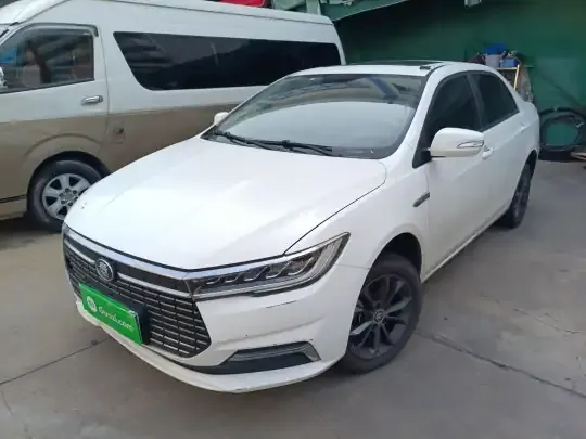 BYD Qin New Energy 2019 (115600 км)
