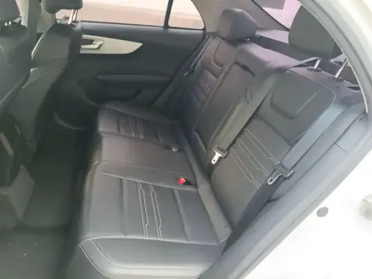 BYD Qin New Energy 2019 (115600 км)