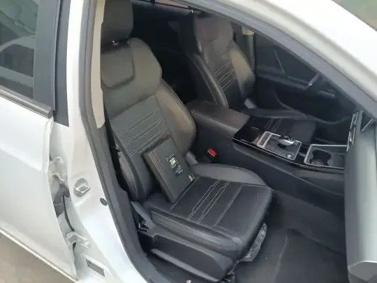 BYD Qin New Energy 2019 (115600 км)