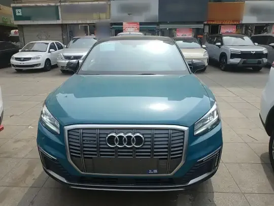 Audi Q2L e-tron 2019 (95700 км)