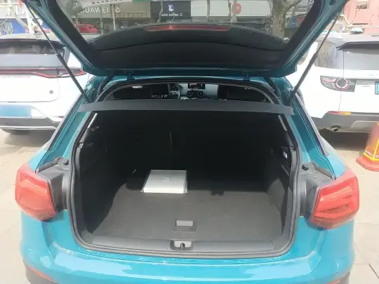 Audi Q2L e-tron 2019 (95700 км)
