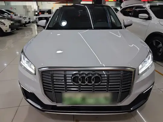 Audi Q2L e-tron 2019 (40800 км)