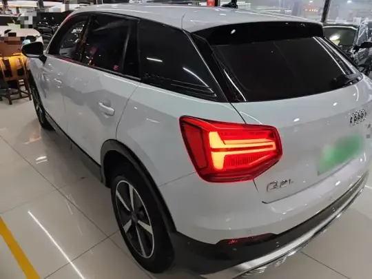 Audi Q2L e-tron 2019 (40800 км)