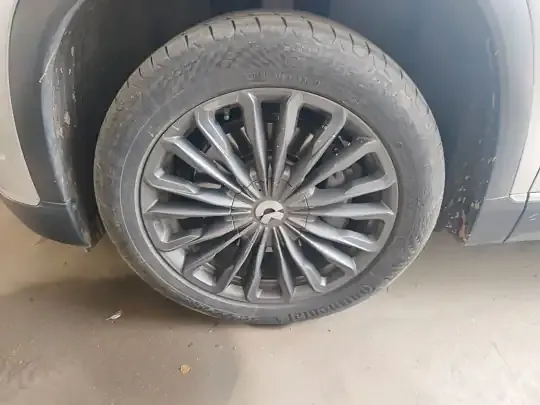 Nio ES8 2020 (45800 км)