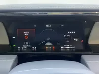 Lincoln Navigator 2020 (16400 км)