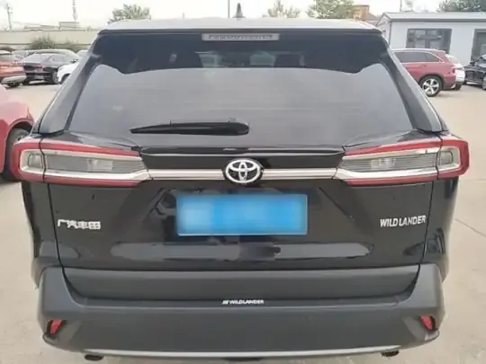 Toyota Wildlander 2020 (129700 км)
