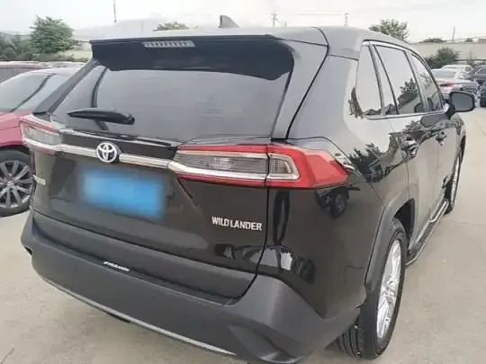 Toyota Wildlander 2020 (129700 км)