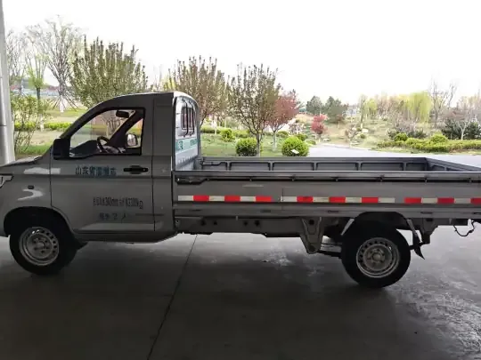 Wuling Rongguang New Truck 2019 (58000 км)