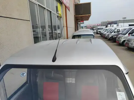 Wuling Zhiguang Small Truck 2020 (7900 км)