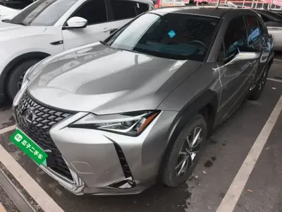 Lexus UX New Energy 2020 (36600 км)