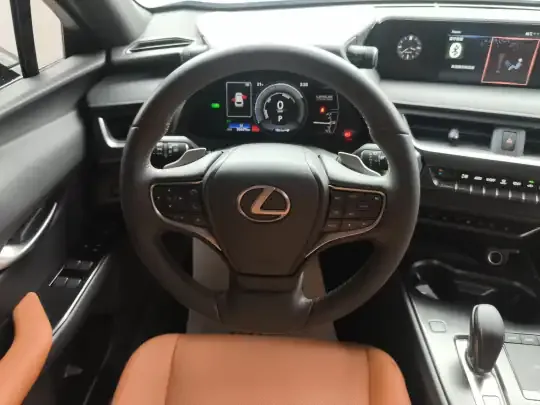 Lexus UX New Energy 2020 (36600 км)