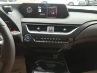 Lexus UX New Energy 2020 (36600 км)