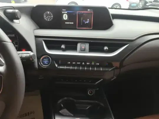 Lexus UX New Energy 2020 (36600 км)