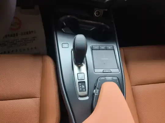 Lexus UX New Energy 2020 (36600 км)