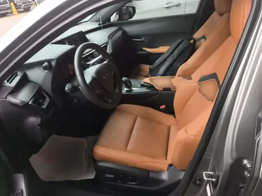Lexus UX New Energy 2020 (36600 км)
