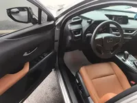 Lexus UX New Energy 2020 (36600 км)
