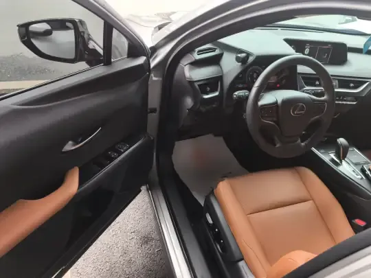 Lexus UX New Energy 2020 (36600 км)