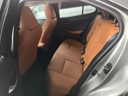 Lexus UX New Energy 2020 (36600 км)