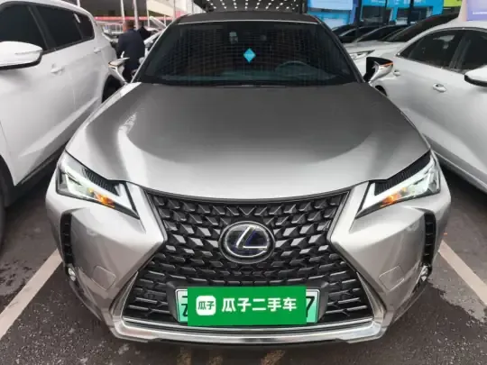 Lexus UX New Energy 2020 (36600 км)