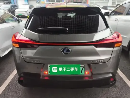Lexus UX New Energy 2020 (36600 км)