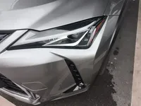 Lexus UX New Energy 2020 (36600 км)