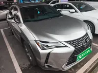 Lexus UX New Energy 2020 (36600 км)