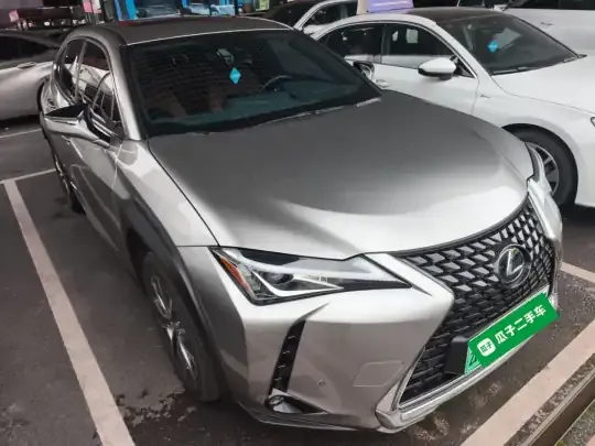 Lexus UX New Energy 2020 (36600 км)