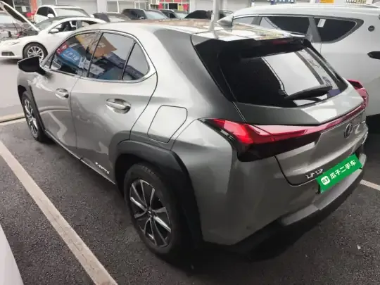 Lexus UX New Energy 2020 (36600 км)