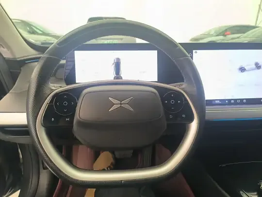XPeng P7 2020 (132900 км)