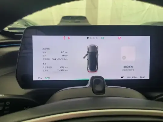 XPeng P7 2020 (132900 км)