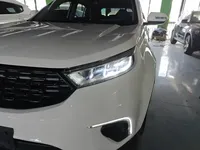 Ford Territory 2020 (35600 км)