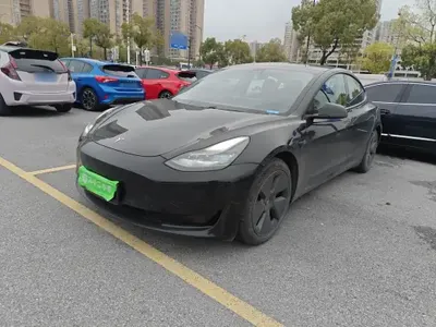 Tesla Model 3 2020 (174400 км)