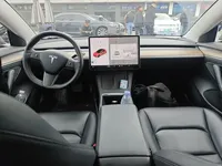 Tesla Model 3 2020 (174400 км)
