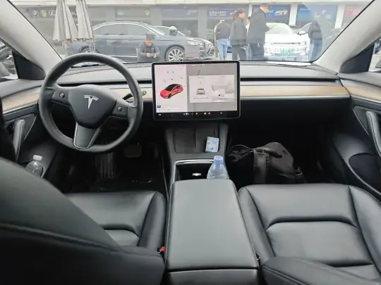 Tesla Model 3 2020 (174400 км)