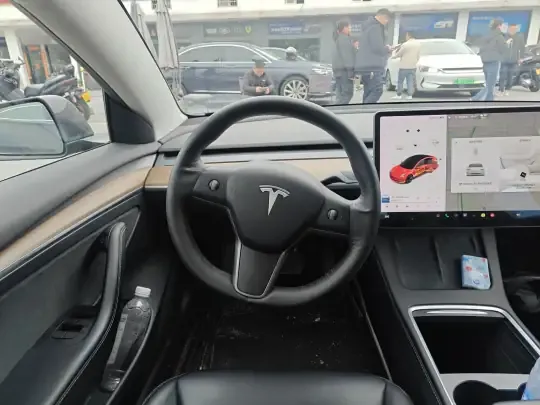 Tesla Model 3 2020 (174400 км)