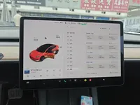 Tesla Model 3 2020 (174400 км)