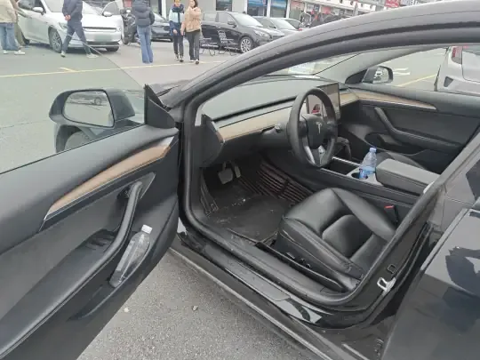 Tesla Model 3 2020 (174400 км)