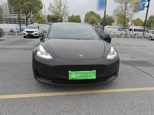 Tesla Model 3 2020 (174400 км)