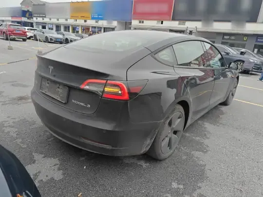 Tesla Model 3 2020 (174400 км)