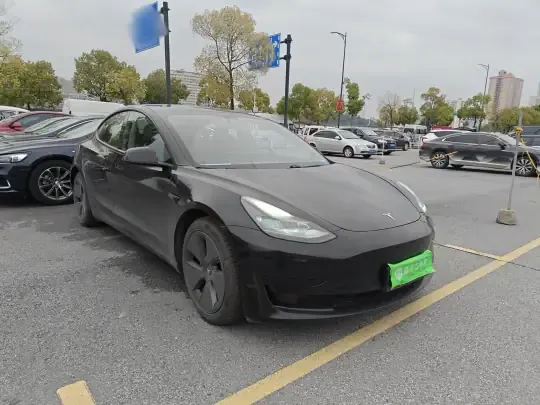 Tesla Model 3 2020 (174400 км)