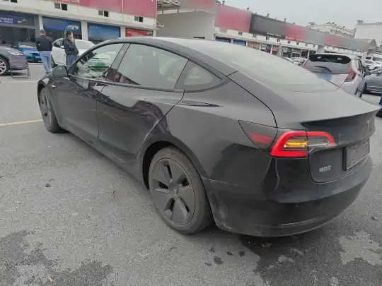 Tesla Model 3 2020 (174400 км)