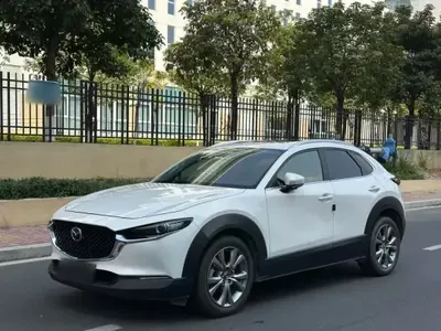 Mazda CX-30 2020 (48400 км)