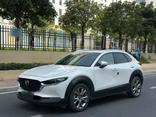 Mazda CX-30 2020 (48400 км)